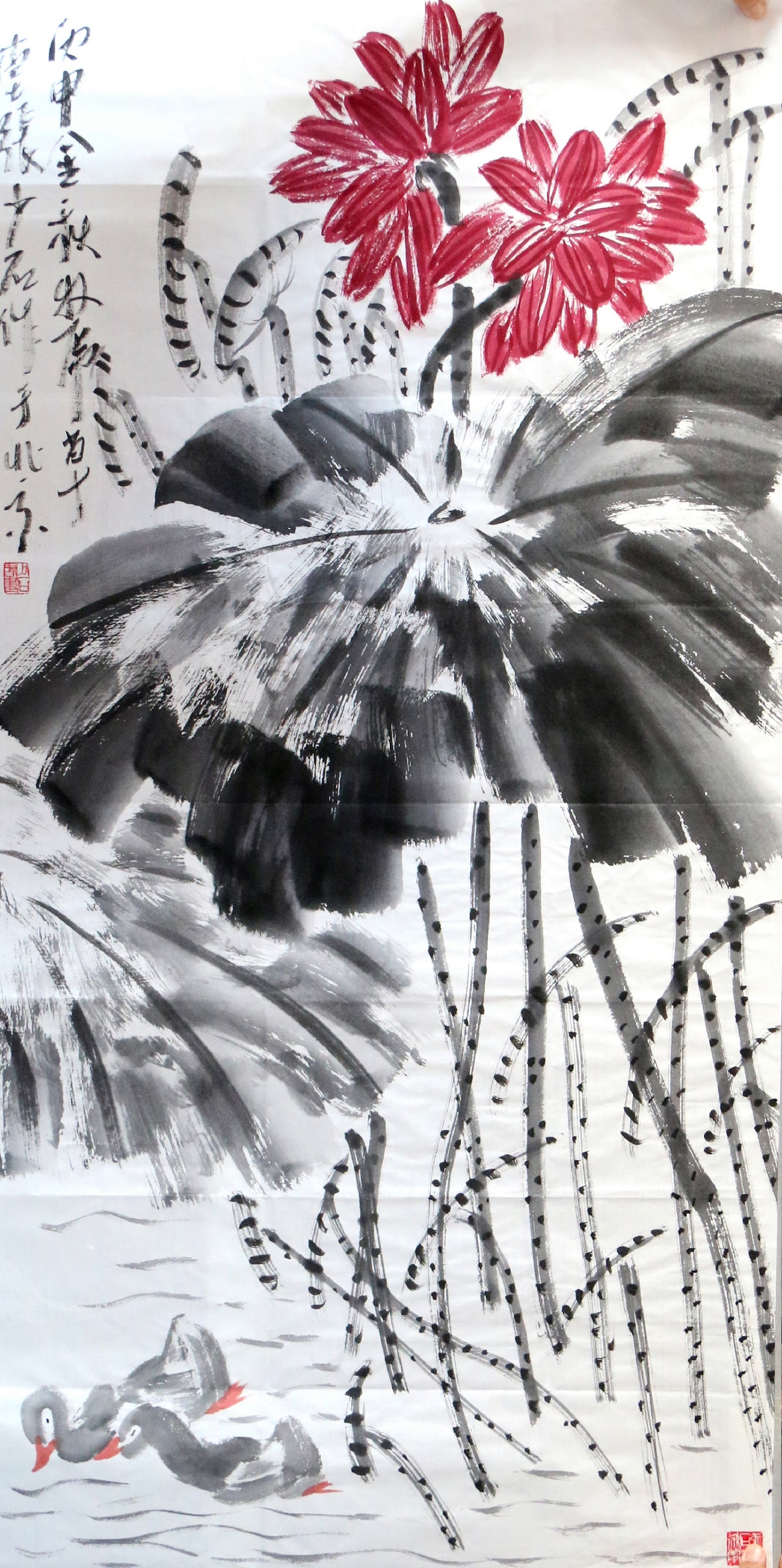 荷花