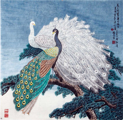 绿白孔雀 